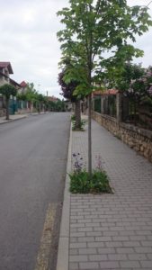 Úvaly - Alešova ulice z května 2017